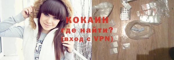 тгк Пересвет