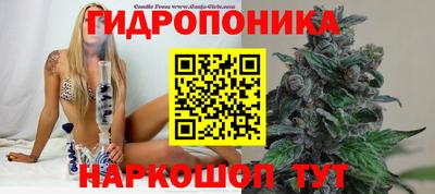 героин Кимры