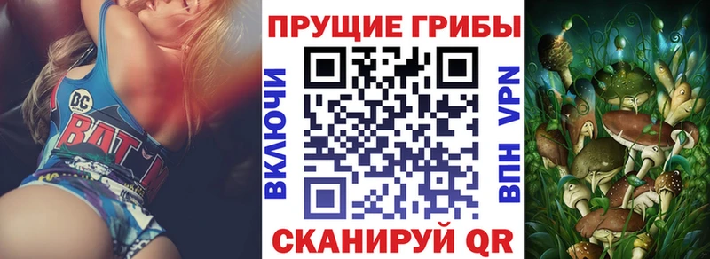 Галлюциногенные грибы Psilocybe  Коммунар 
