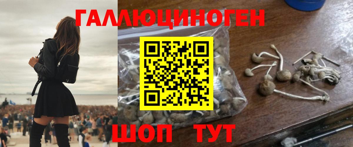 Псилоцибиновые грибы мицелий  Псилоцибиновые грибы мухоморы  Коммунар  Вход с VPN 