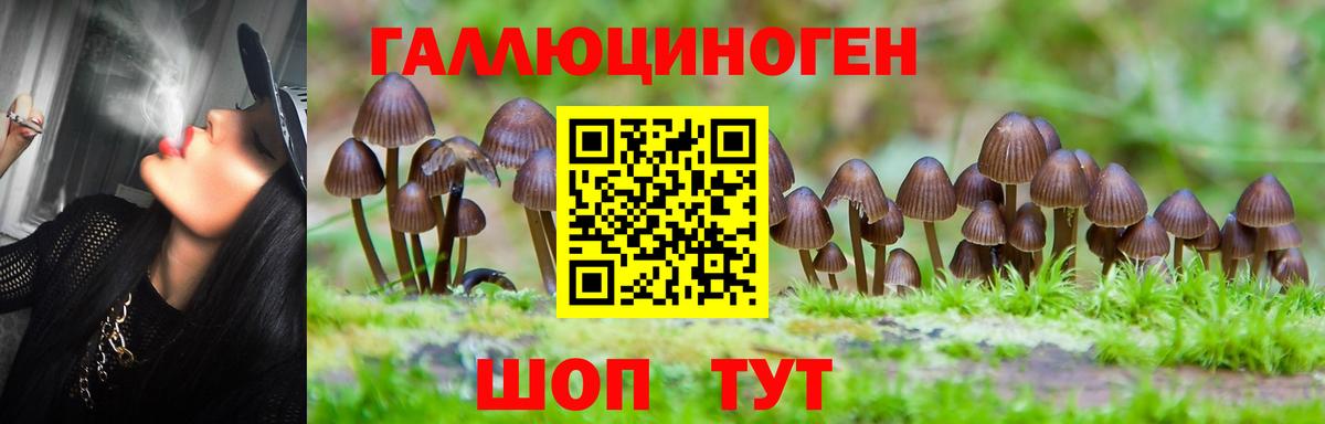 Псилоцибиновые грибы прущие грибы Коммунар